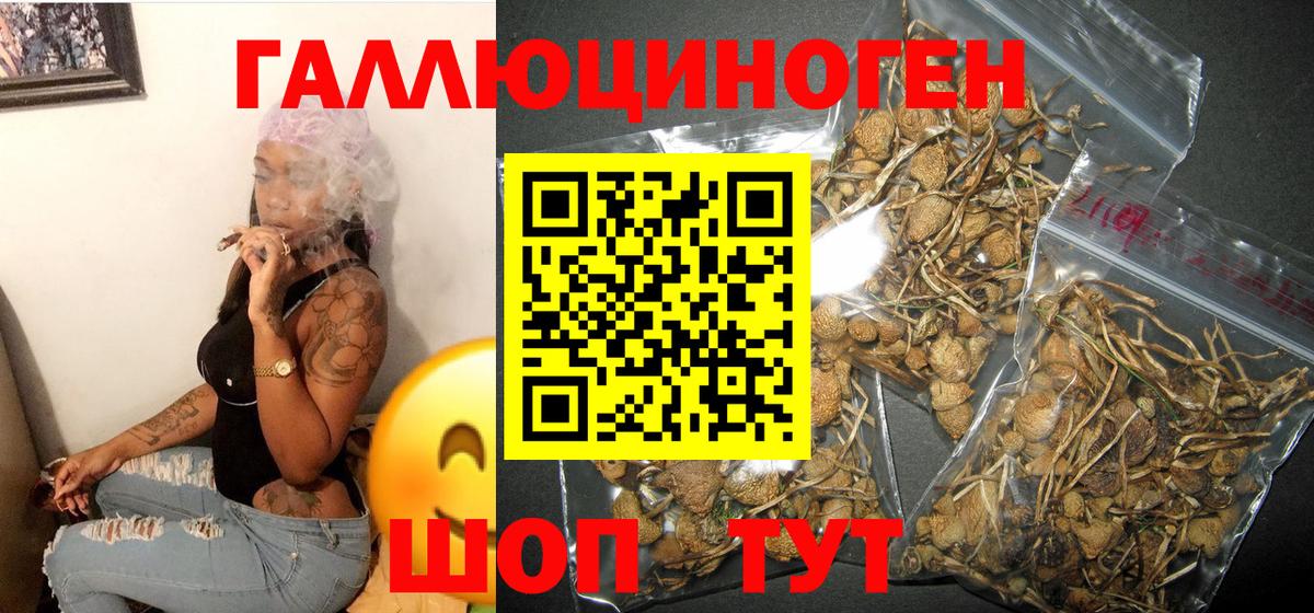 Магнитогорск  Псилоцибиновые грибы Magic Shrooms  Галлюциногенные грибы мицелий  Вход с VPN 
